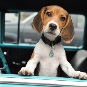 Meet your Posher, Susan