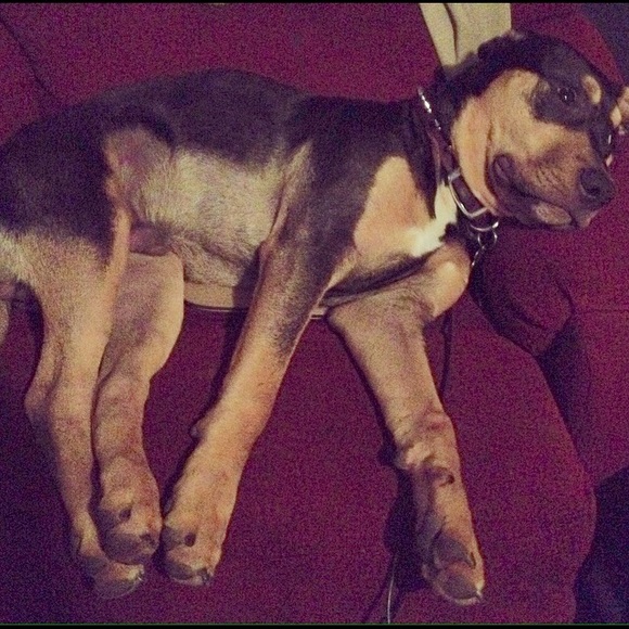 Meet your Posher, Jodibeth