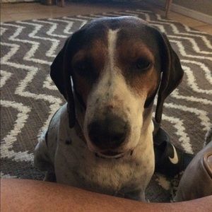 Meet your Posher, Sally