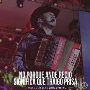 Meet your Posher, El gallo de oro