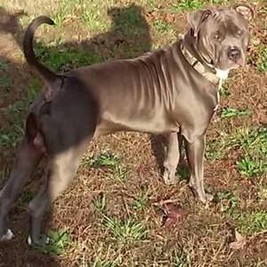 Meet your Posher, Carl