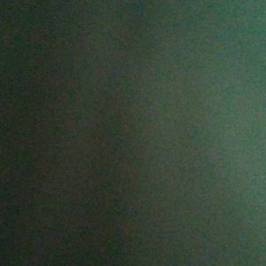 Meet your Posher, Janetta