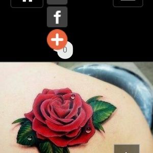 Meet your Posher, Irma