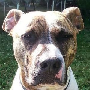 Meet your Posher, Rob