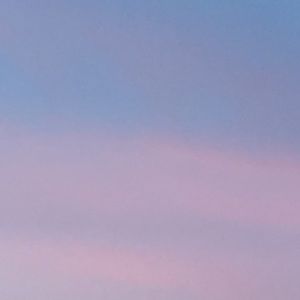 Meet your Posher, Rose