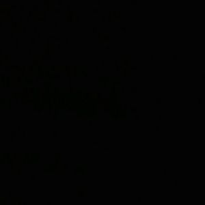 Meet your Posher, Don