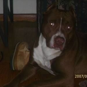 Meet your Posher, Marcus