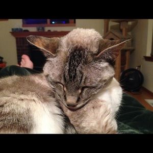 Meet your Posher, Julie