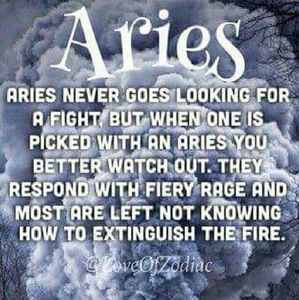 Meet your Posher, Janelly