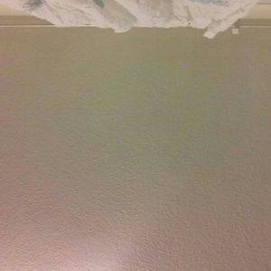 Meet your Posher, Jose