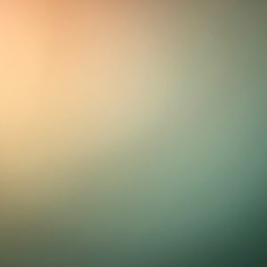 Meet your Posher, Dee