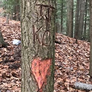 Meet your Posher, Karley