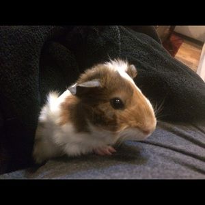 Meet your Posher, Kristina