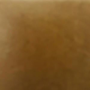 Meet your Posher, Quincy