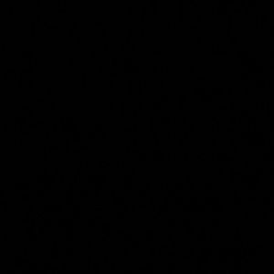 Meet your Posher, Franklin