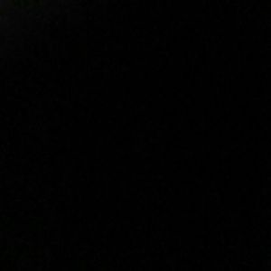 Meet your Posher, Preston