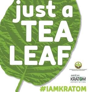 Meet your Posher, Spencer