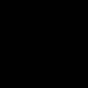 Meet your Posher, Ramon