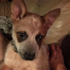 Meet your Posher, Jody