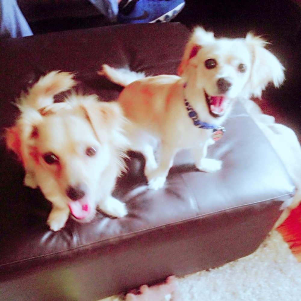 Meet your Posher, Ana