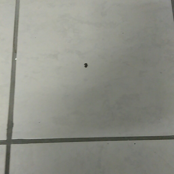 Meet your Posher, Julio