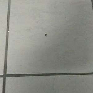 Meet your Posher, Julio