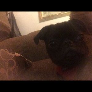 Meet your Posher, Joan