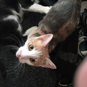 Meet your Posher, Sonna