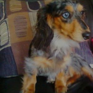 Meet your Posher, Tammy