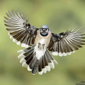 Meet your Posher, Denise