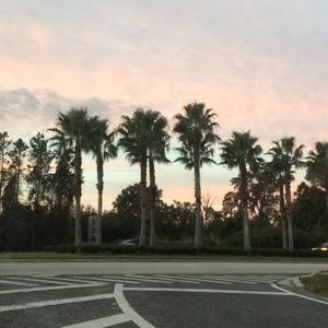 Meet your Posher, Bryce