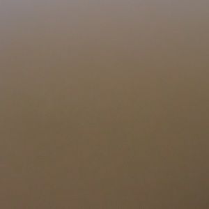 Meet your Posher, Aleceia