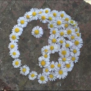 Meet your Posher, Kaitlyn