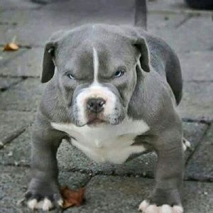 Meet your Posher, Sergio