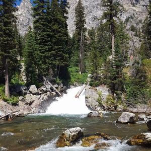 Meet your Posher, Jeremy