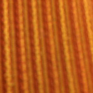 Meet your Posher, Eli