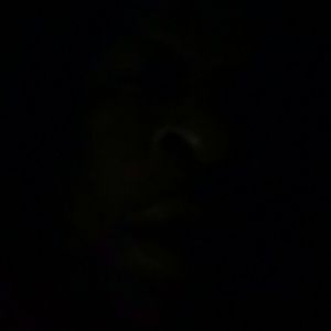 Meet your Posher, Gerald