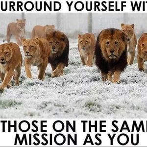 Meet your Posher, Leonard