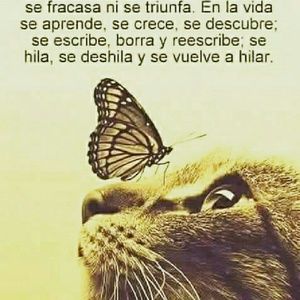 Meet your Posher, Rosa