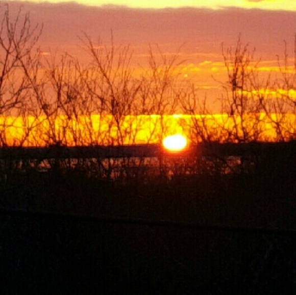 Meet your Posher, Sabrina - Picture 1 of 1