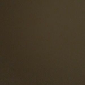 Meet your Posher, Dion