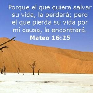 Meet your Posher, Adrian