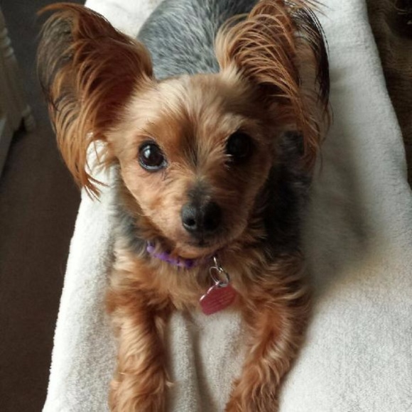 Meet your Posher, Emily - Picture 4 of 5