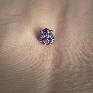 Pandora Charm