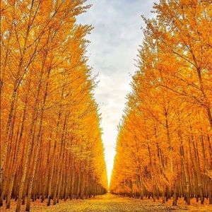 Meet your Posher, Yuliana