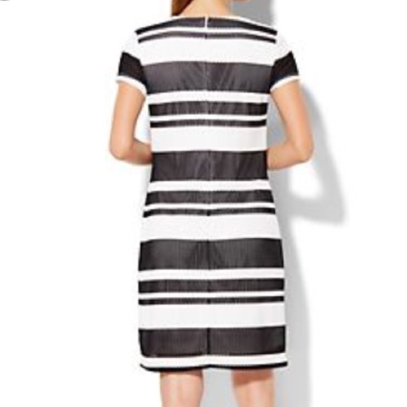 🎉HP NWT Lace Overlay Black & White Cocktail Dress - Picture 2 of 4