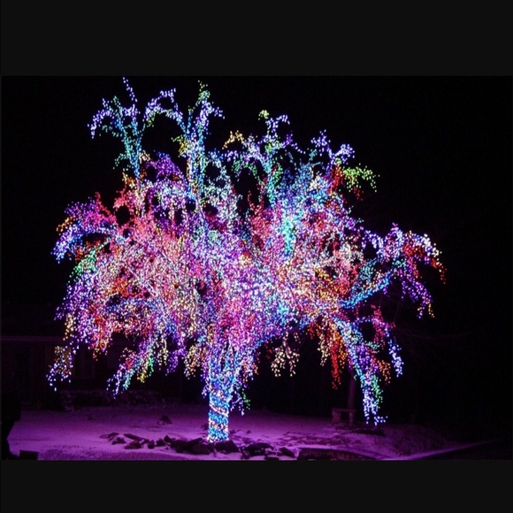 Meet your Posher, Katie - Picture 1 of 1