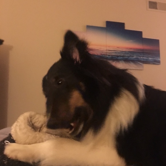 Meet your Posher, Gisselle💕👱‍♀️ - Picture 2 of 3