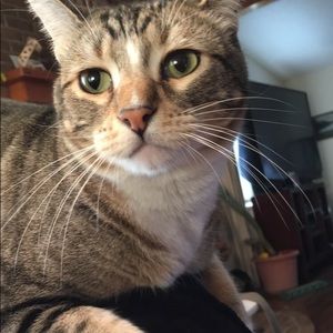 Meet your Posher, Rebekah