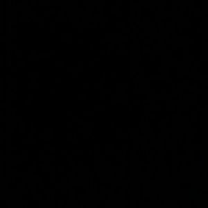 Meet your Posher, Reneisha